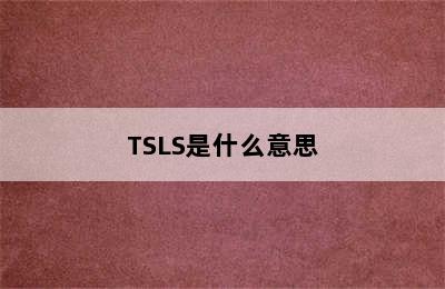 TSLS是什么意思