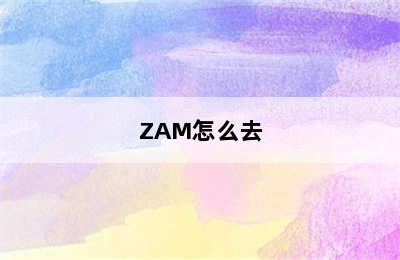 ZAM怎么去