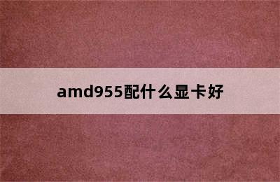 amd955配什么显卡好