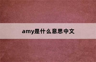 amy是什么意思中文