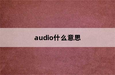 audio什么意思