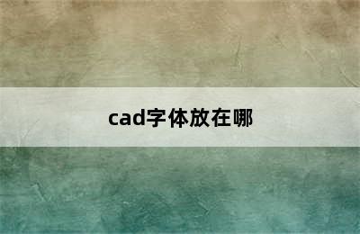 cad字体放在哪