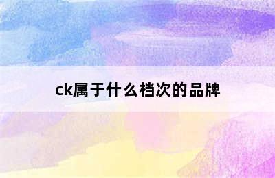 ck属于什么档次的品牌