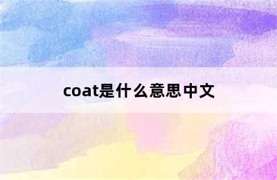 coat是什么意思中文