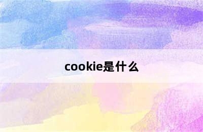 cookie是什么