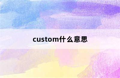 custom什么意思