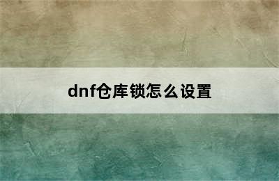 dnf仓库锁怎么设置