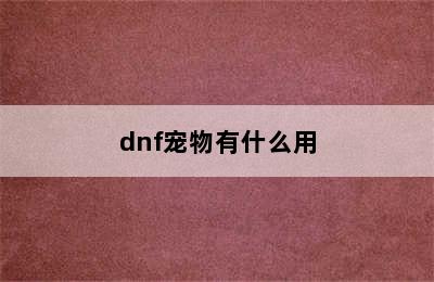 dnf宠物有什么用