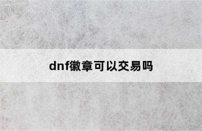 dnf徽章可以交易吗