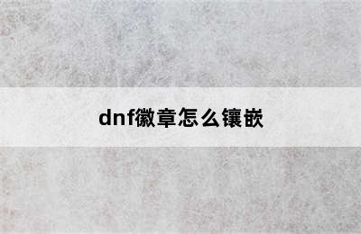 dnf徽章怎么镶嵌