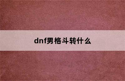 dnf男格斗转什么