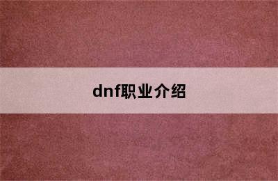 dnf职业介绍