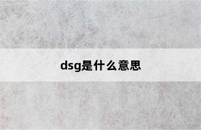 dsg是什么意思