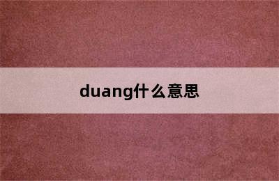 duang什么意思