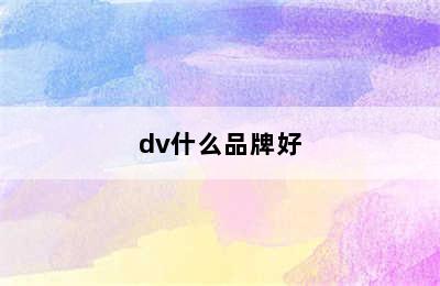 dv什么品牌好