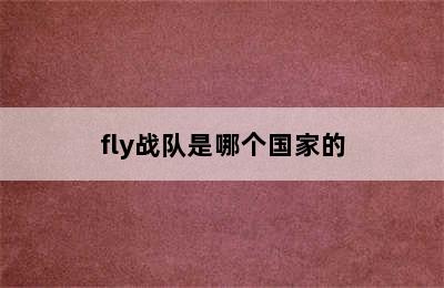 fly战队是哪个国家的