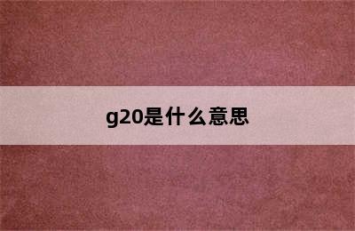 g20是什么意思