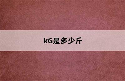 kG是多少斤