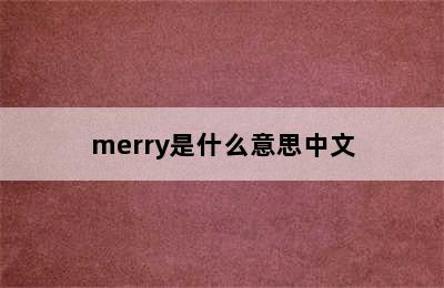 merry是什么意思中文