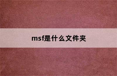 msf是什么文件夹