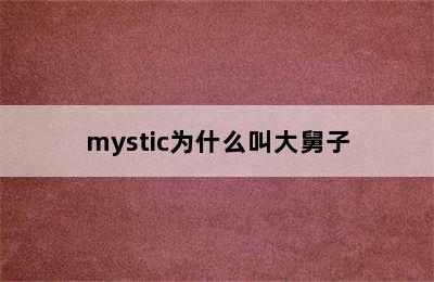 mystic为什么叫大舅子