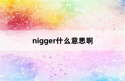 nigger什么意思啊