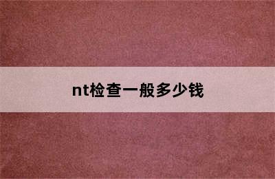 nt检查一般多少钱