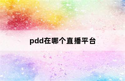 pdd在哪个直播平台