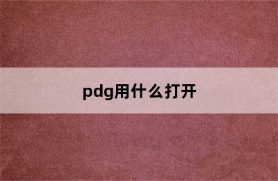 pdg用什么打开