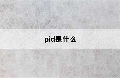 pid是什么