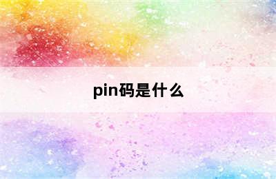 pin码是什么