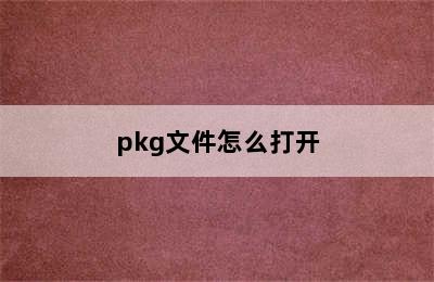 pkg文件怎么打开