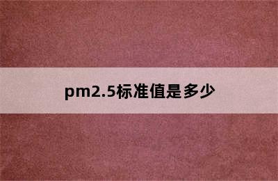 pm2.5标准值是多少