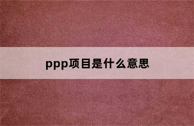 ppp项目是什么意思