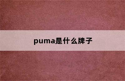 puma是什么牌子