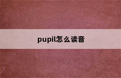 pupil怎么读音