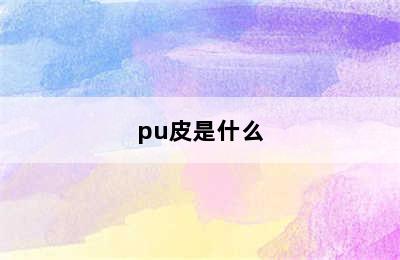 pu皮是什么