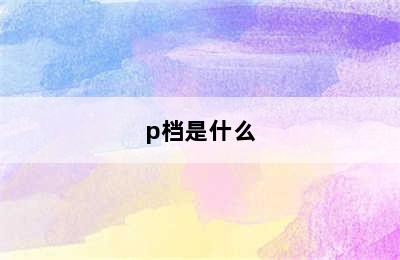 p档是什么