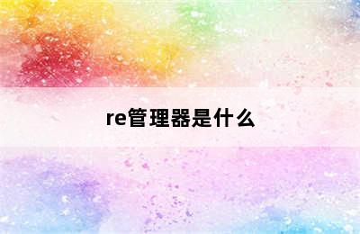 re管理器是什么