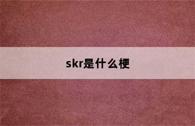 skr是什么梗