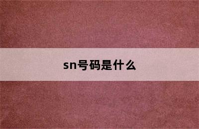 sn号码是什么