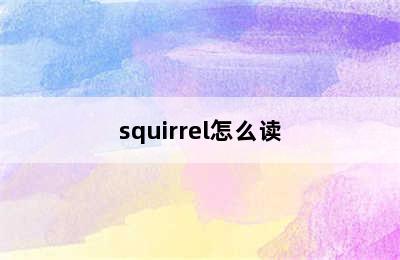 squirrel怎么读