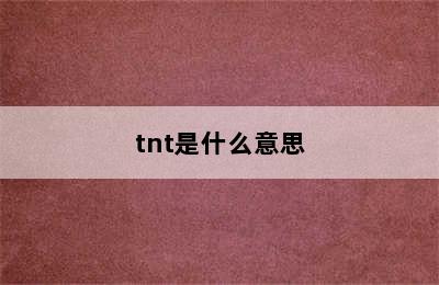 tnt是什么意思