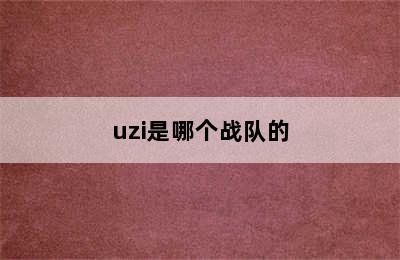 uzi是哪个战队的