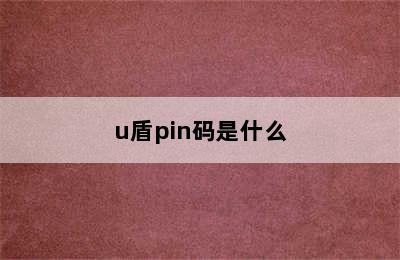 u盾pin码是什么