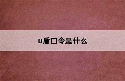 u盾口令是什么