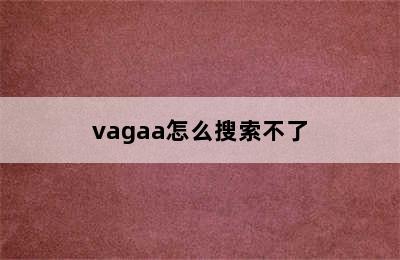 vagaa怎么搜索不了