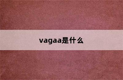 vagaa是什么