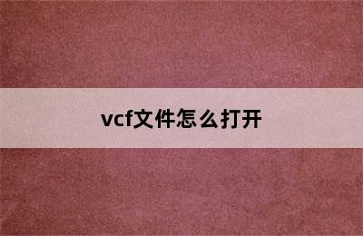 vcf文件怎么打开