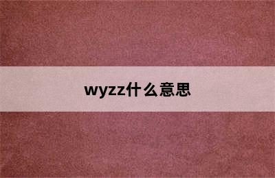 wyzz什么意思